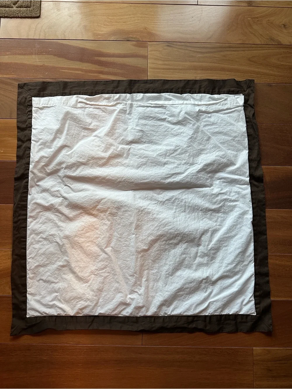 Restoration Hardware RH Euro Sham with Blue and Brown Border